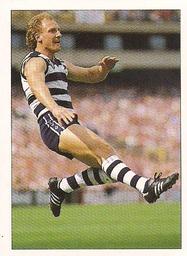 1990 Select AFL Stickers #110 Gary Ablett Front